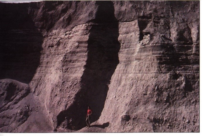 Осадочные слои, сформировавшиеся в 1980 году на горе Сент-Хеленс, уже стали хрупкими к 1983 году. Взято из «Гранд-Каньона: памятник катастрофе» Д-ра Стива Остина